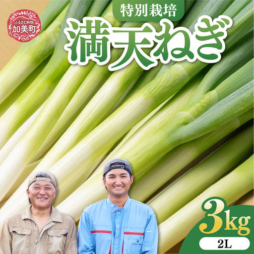 [先行予約]長ネギ 3kg 長ネギ