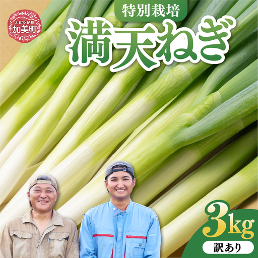 [先行予約] 訳あり 長ネギ 3kg サイズおまかせ ネギ