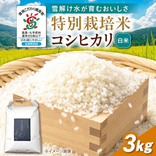 [先行予約]特別栽培米コシヒカリ3kg 白米[AQEB001]
