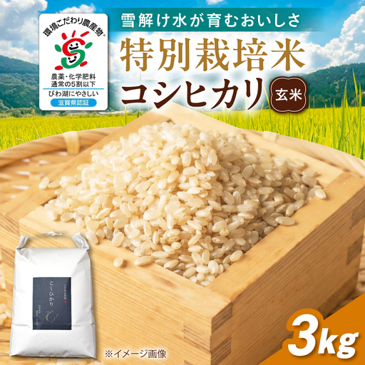 [先行予約]特別栽培米コシヒカリ3kg 玄米[AQEB004]
