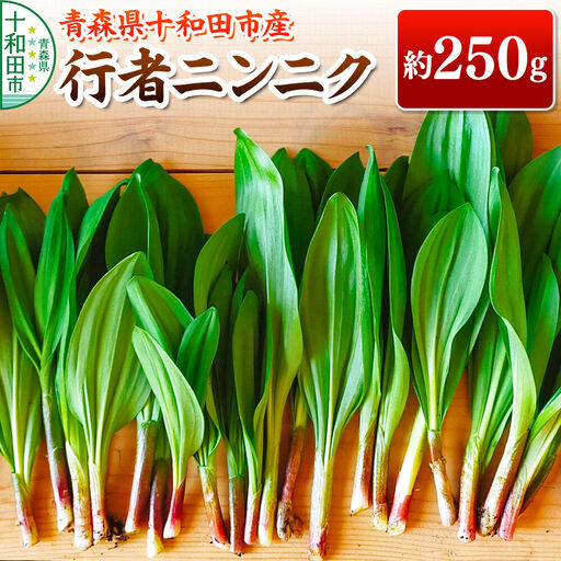 【2027年4月発送・先行受付】山菜 行者ニンニク 約250g 青森県十和田市産