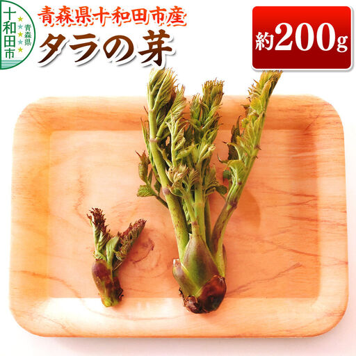 【2027年4月下旬発送・先行受付】山菜 タラの芽 約200g 青森県十和田市産