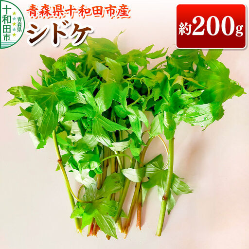 [2027年4月下旬発送・先行受付]山菜 シドケ 約200g 青森県十和田市産