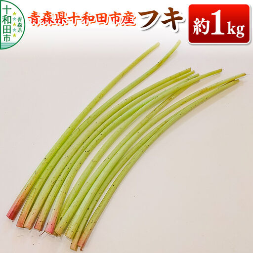 [2027年5月中旬発送・先行受付]山菜 フキ 蕗 約1kg 青森県十和田市産