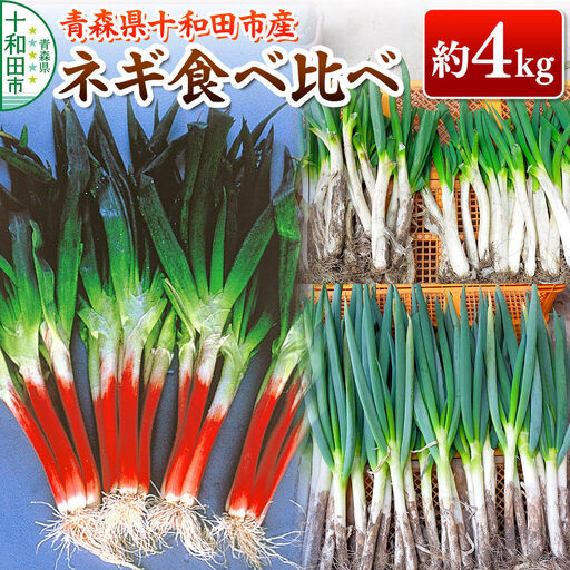 【11月中旬発送・先行受付】ネギ食べ比べ 約4kg 青森県十和田市産