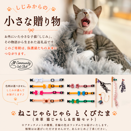 しじみからの小さな贈り物 －ねこじゃらじゃら と くびたま－(本革 猫じゃらし1個＆首輪1個セット)