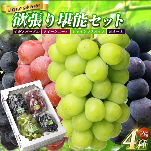 庄原市西城産ぶどう 欲張り堪能セット 4房入り(合計2kg)