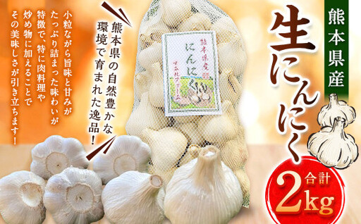 熊本県産 生にんにく 2kg 【2026年10月下旬から2027年3月下旬発送予定】  にんにく ニンニク 生ニンニク 野菜 やさい 熊本県 常温