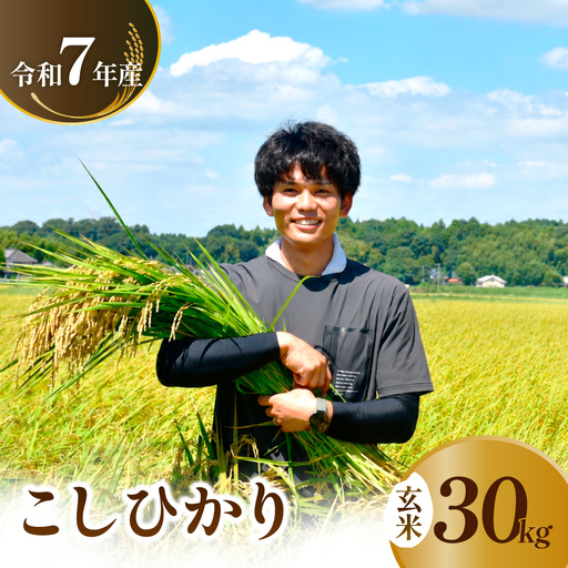 令和7年度 コシヒカリ 玄米 30kg 農家直送 | コシヒカリ 茨城県 龍ケ崎市 