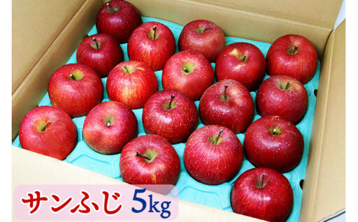 りんご サンふじ 約5kg ( 18個入 ) [2026年12月上旬より順次発送予定]| りんご リンゴ 林檎 果物 フルーツ サンふじ