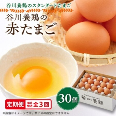 [毎月定期便]計90個[生みたて濃厚]谷川養鶏の赤たまご30ヶ入り(※サイズ指定できません)全3回[配送不可地域:離島]