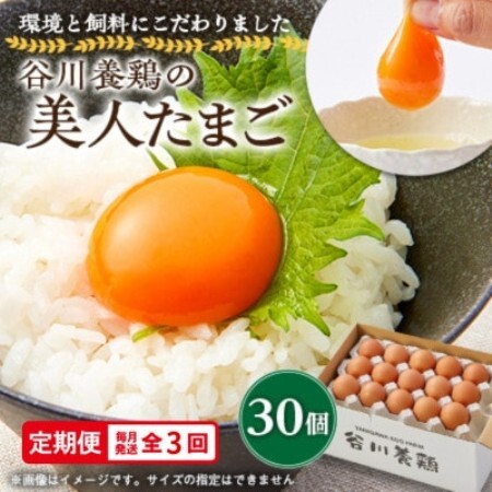 [毎月定期便]計90個[生みたて濃厚]谷川養鶏の美人たまご30ヶ入り(※サイズ指定できません)全3回[配送不可地域:離島]