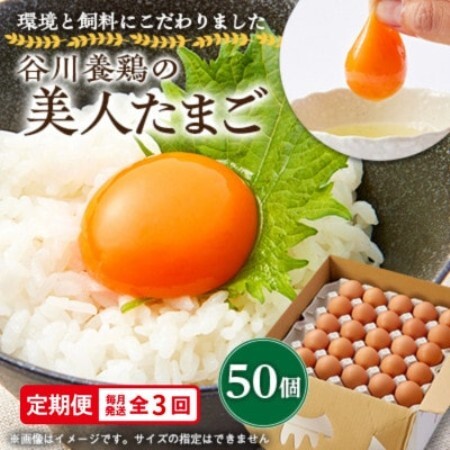 【毎月定期便】計150個【生みたて濃厚】谷川養鶏の美人たまご50ヶ入り　※サイズ指定できません全3回【配送不可地域：離島】【4092244】
