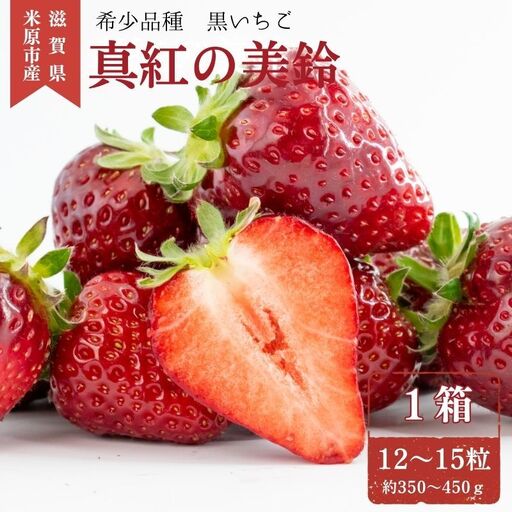 希少品種黒色いちご「真紅の美鈴(しんくのみすず)」1箱 ※1月中旬より順次配送 いちご イチゴ 苺 果物 フルーツ 滋賀県 米原市