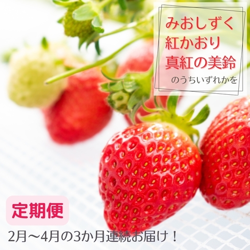 [定期便]希少品種いちご3種定期便 ※2月〜4月まで3か月連続お届け いちご イチゴ 苺 果物 フルーツ 滋賀県 米原市