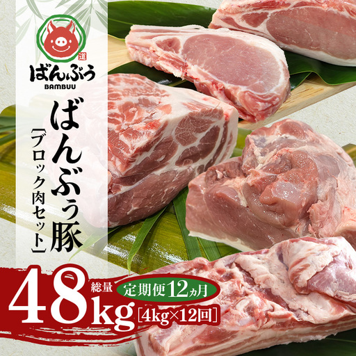 [定期便12ヶ月]ブランド豚「ばんぶぅ」ブロック肉セット(計4kg) 42-CE