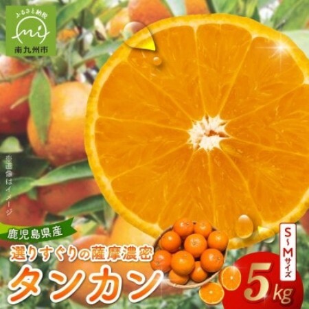 【2027年2月下旬頃より順次発送】選りすぐり薩摩濃密タンカン 5kg【1759226】