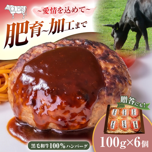 黒毛和牛 ハンバーグ 100g×6個 