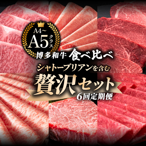 [定期便・全6回][博多和牛 A4ランク 以上]シャトーブリアン含む 食べ比べ 贅沢セット[HD091]