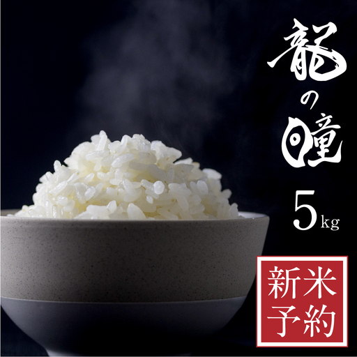 白米 龍の瞳 令和8年産 5kg 飛騨 米