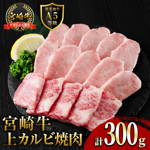 新鮮チルド便 宮崎牛 A5 上カルビ(300g) 焼肉 カルビ 焼肉 和牛 BBQ アウトドア キャンプ 小分け パック 真空パック ブランド牛 ランク パーティー ご褒美 おかず[OT-01][KNOT合同会社]