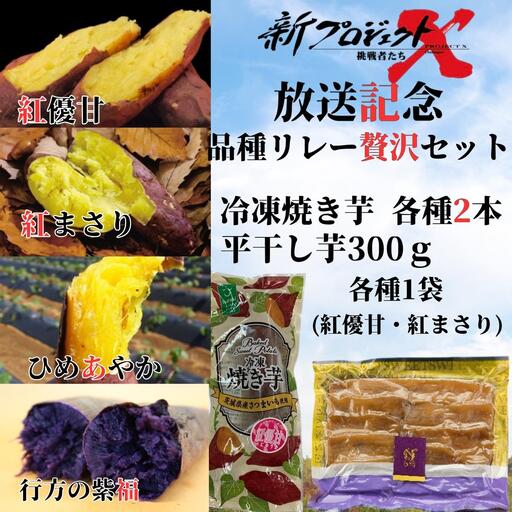 [新プロジェクトX放送〜行方かんしょ〜] (冷凍焼き芋4種×2本・平干し芋300g各種1袋セット)|茨城県 行方市 ふるさと納税 冷凍焼き芋 やきいも 平干し芋 ほしいも 紅はるか 紅優甘 紅まさり ひめあやか 紫福(AE-160)