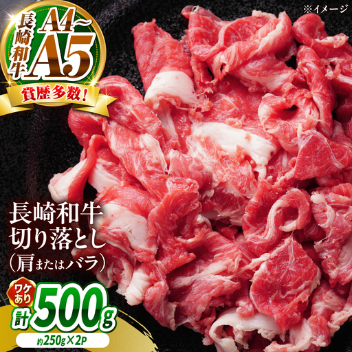 【訳あり】【A4～A5】長崎和牛切り落とし 500g(250g×2)/ 牛肉 ぎゅう肉 和牛 / 南島原市 / 株式会社MEAT PLUS[SHG036]