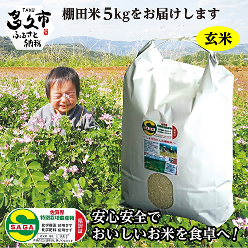 【令和8年産 新米】しょうちゃんの棚田米 夢しずく 玄米 5kg 佐賀県産 米 栽培期間中農薬・化学肥料不使用 _b-94