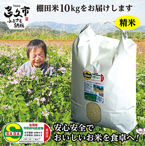 [令和8年産 新米]しょうちゃんの棚田米 夢しずく 米 10kg 佐賀県産 精米 栽培期間中農薬・化学肥料不使用 _c-42
