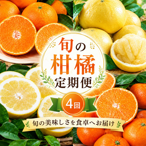 [先行予約]旬の柑橘 定期便 4回 訳あり 愛媛みかん 5kg まどんな 3kg 文旦 7kg 愛南ゴールド 5kg みかん 愛果28号 紅まどんな 河内晩柑 柑橘 かんきつ フルーツ 果物 旬 みかん ミカン 国産 サイズ不揃い 愛媛県 愛南町 愛南町青果市場組合