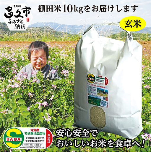 [令和8年産 新米]しょうちゃんの棚田米 夢しずく 玄米 10kg 佐賀県産 米 栽培期間中農薬・化学肥料不使用 _c-43