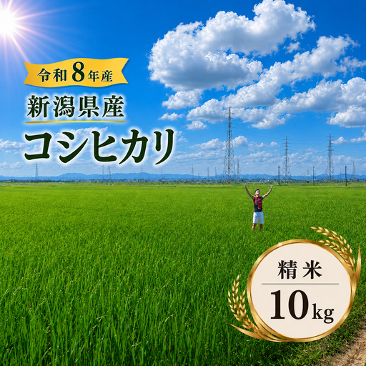R8年産 新潟県産 コシヒカリ 精米 10kg