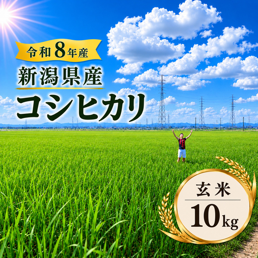 R8年産 新潟県産 コシヒカリ 玄米 10kg