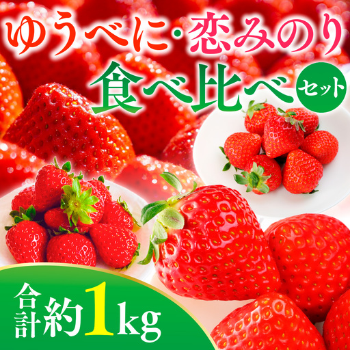 ゆうべに ・ 恋みのり 食べ比べセット 約1kg いちご イチゴ 苺 熊本県 熊本市 果物 くだもの 果実 デザート フルーツ [ 2027年1月上旬 〜 3月下旬迄発送予定 ]