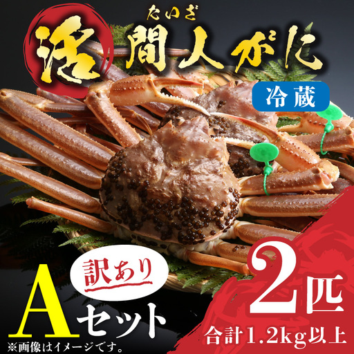 （訳あり）活間人がに 2匹 Aセット　1/22～2/21発送予定