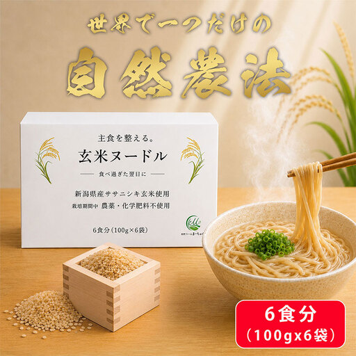玄米麺 [自然農法 ササニシキ] 100gx6食分 計600g 玄米ヌードル