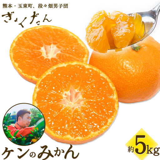 ぎょくだんケンのみかん 約5kg ぷらっとぎょくとう [11月下旬-12月中旬頃出荷]