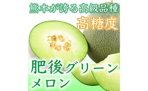 肥後グリーンメロン 1玉 4L以上 ( 約2kg ) メロン めろん グリーンメロン 青肉メロン 果物 くだもの フルーツ 果実 果肉 果汁 甘み 国産 熊本県産 [ 2027年5月上旬〜7月下旬発送予定 ]