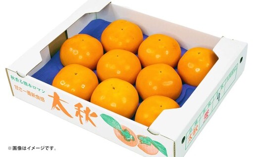 太秋柿 約2kg ( 4 〜 8玉 ) 柿 かき カキ 果物 くだもの フルーツ 果実 果肉 食感 甘み 国産 熊本県産 冷蔵 [ 2026年10月上旬〜11月上旬発送予定 ]