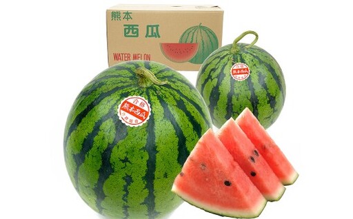 大玉すいか 1玉入り L以上 約5kg スイカ すいか 西瓜 熊本すいか 大玉 果物 くだもの フルーツ プレミアムフルーツ 果肉 果汁 甘み 旬の果物 国産 熊本県産 [ 2027年5月上旬〜6月下旬発送予定 ]