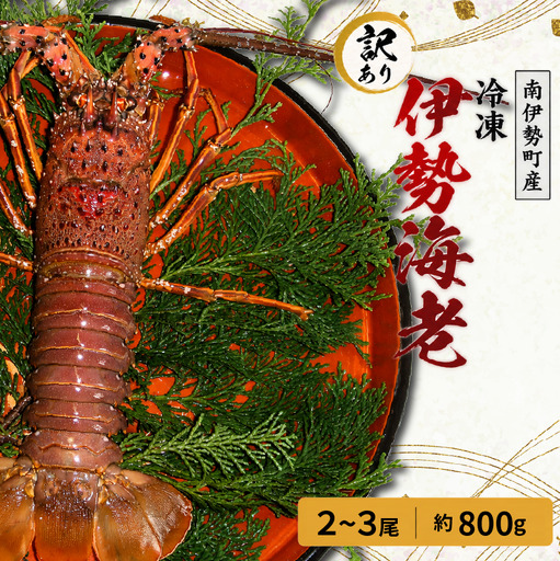 訳あり 伊勢海老 2〜3尾 計 約800g (冷凍) / 加熱用