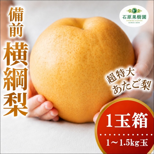 備前横綱梨 あたご梨 1玉箱 赤秀 1〜1.5kg玉 岡山県産 愛宕梨[ishk027-01]