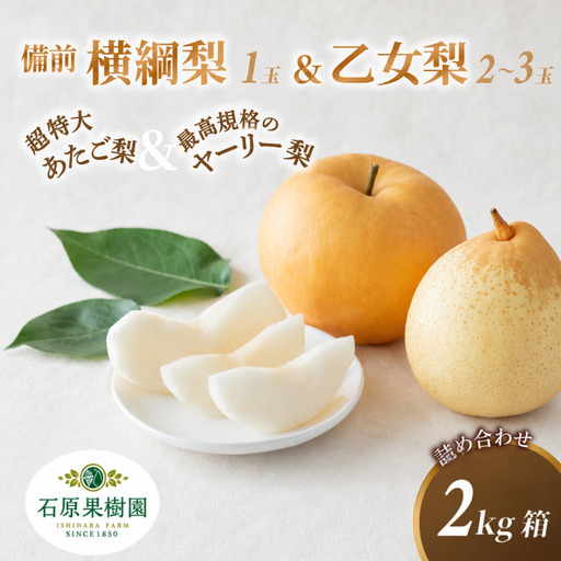 詰め合わせ 2kg箱 赤秀 横綱梨1玉(1〜1.5kg玉) 乙女梨2〜3玉 岡山県産 