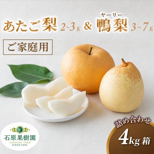 梨 家庭用 詰め合わせ 4kg箱 あたご梨2〜3玉・ヤーリー梨3〜7玉 岡山県産[ishk036-01]