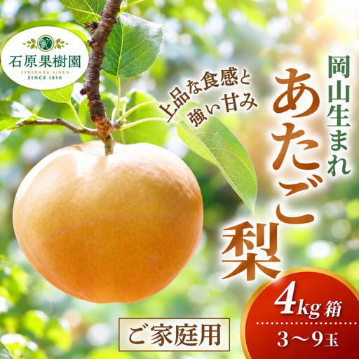 梨 家庭用 あたご梨 4kg箱 3〜9玉 岡山県産 愛宕梨 ご自宅用[ishk037-01]
