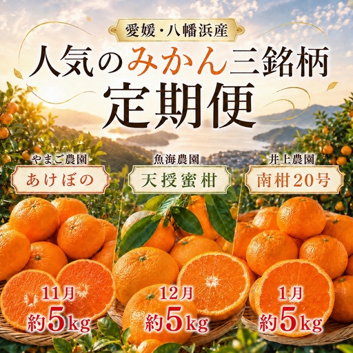 [発送月固定定期便]甘いみかん!!三銘柄「あけぼの」「天授蜜柑」「南柑20号」[39-91]全3回