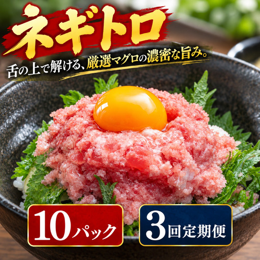 3回定期便 まぐろのネギトロ 10パック 【ねぎとろ】
