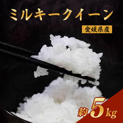 令和7年産 ミルキークイーン 約5kg | お米 愛媛県産米 白米 精米 
