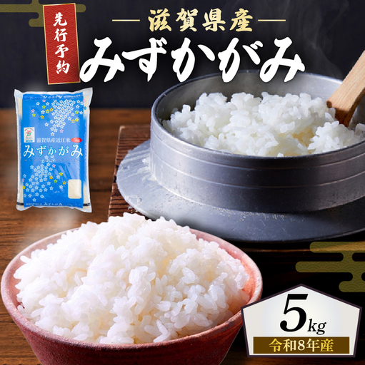 [先行受付] 新米 みずかがみ 白米 5kg 令和8年産 近江米 令和8年 ご飯 先行予約