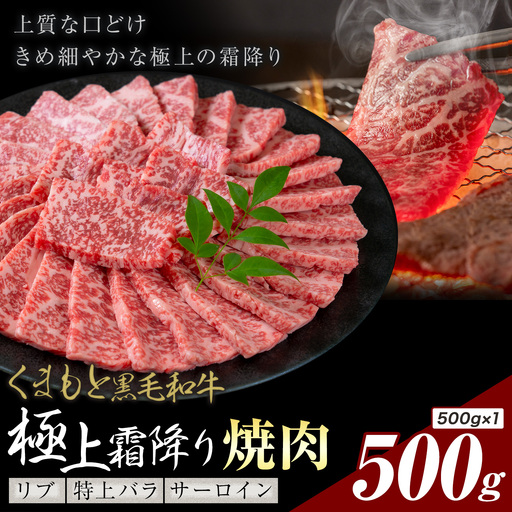 黒毛和牛 極上霜降り リブ サーロイン 特上バラ 焼肉 500g